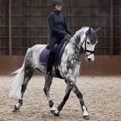 Online * Adepto Yleissatulahuopa Blackcurrant Purple