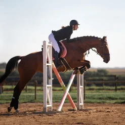 Best * Atlanta Satulavyo Mahapanssarilla Tummanruskea