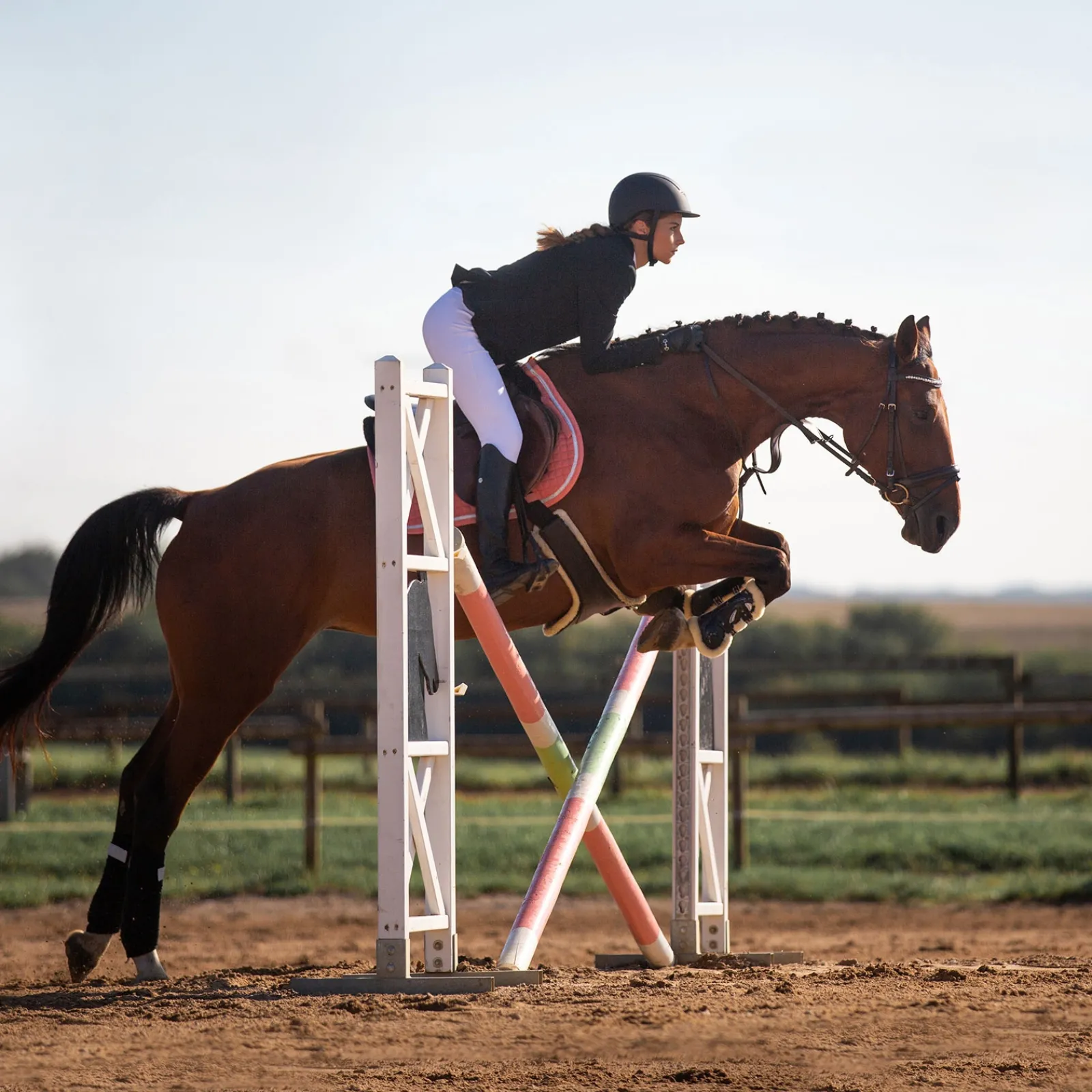 Best * Atlanta Satulavyo Mahapanssarilla Tummanruskea