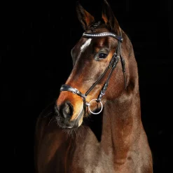 Sale * Bergen Remont -Suitset Ruskea