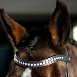 Sale * Bergen Remont -Suitset Ruskea