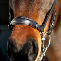 Sale * Bergen Remont -Suitset Ruskea