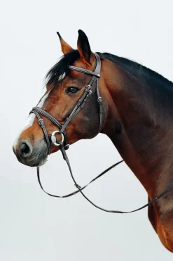 Best * Buxton Anatomiset Suitset, Mukana Ohjat Musta