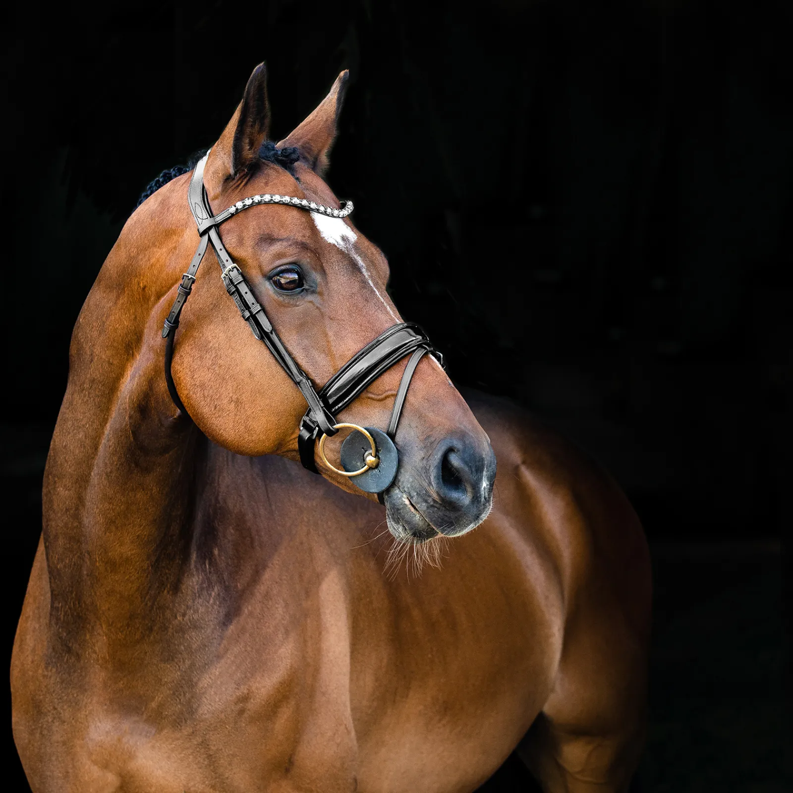 Online * Clermont Anatomiset Suitset Musta