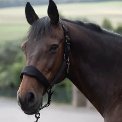 Sale * Graz Riimu Musta