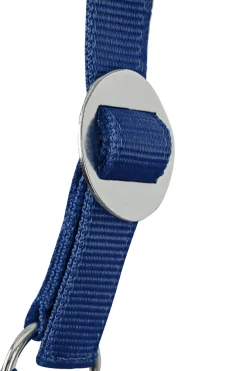 Clearance * Halter & Lead Rope Set Blue