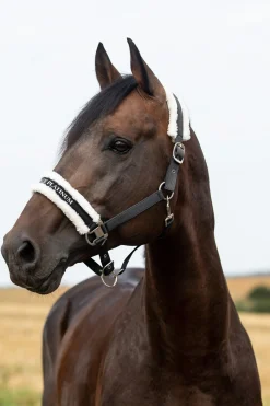 Discount * Howard Riimu Musta