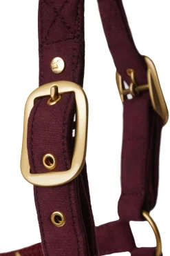 Online * Kenya Anatominen Naruriimu Rhubarb Dark Red