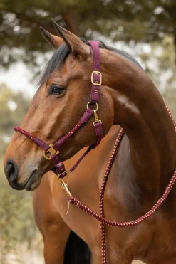 Online * Kenya Anatominen Naruriimu Rhubarb Dark Red