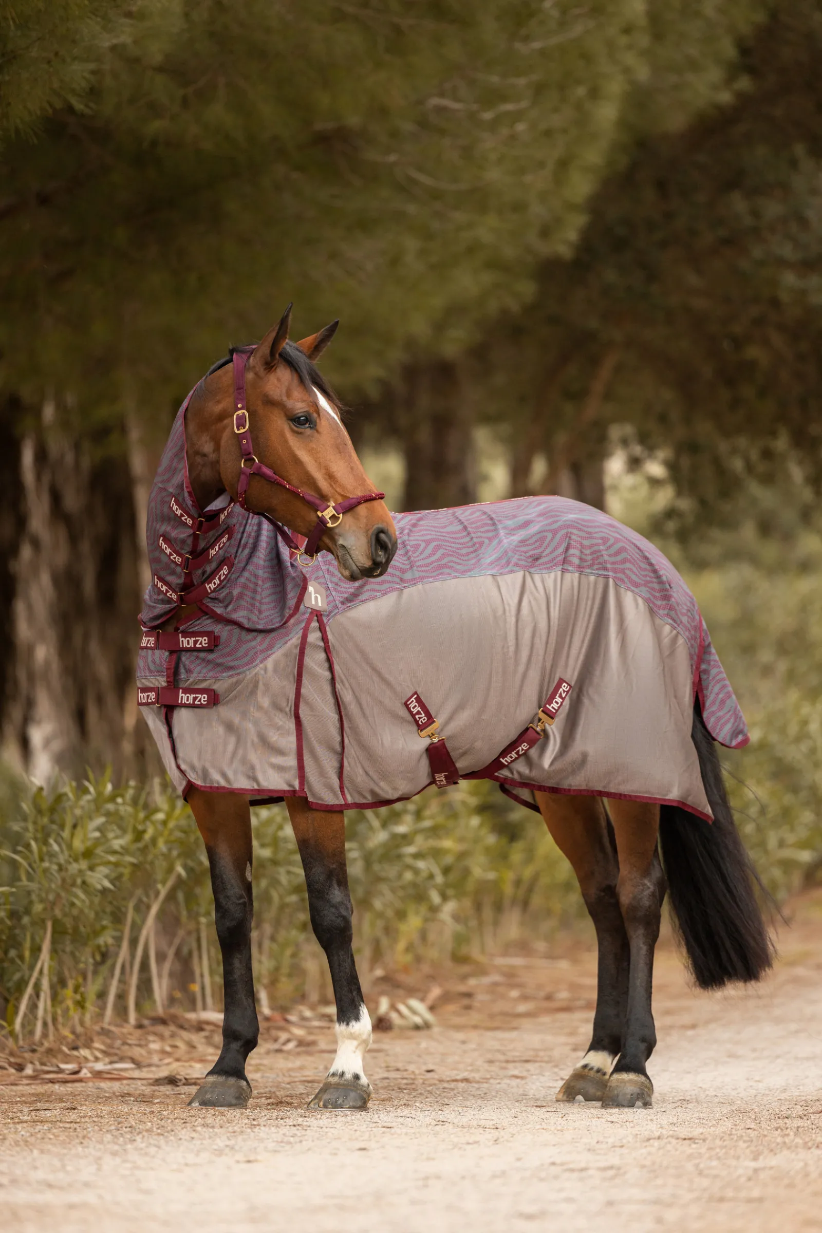 Best * Kenya Hyonteisloimi Kaulakappaleella Rhubarb Dark Red