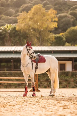 Online * Kenya Yleissatulahuopa Rhubarb Dark Red