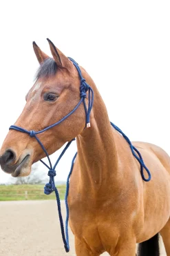 Online * Koysiriimu Ja Riimunnaru, Setti Tummansininen