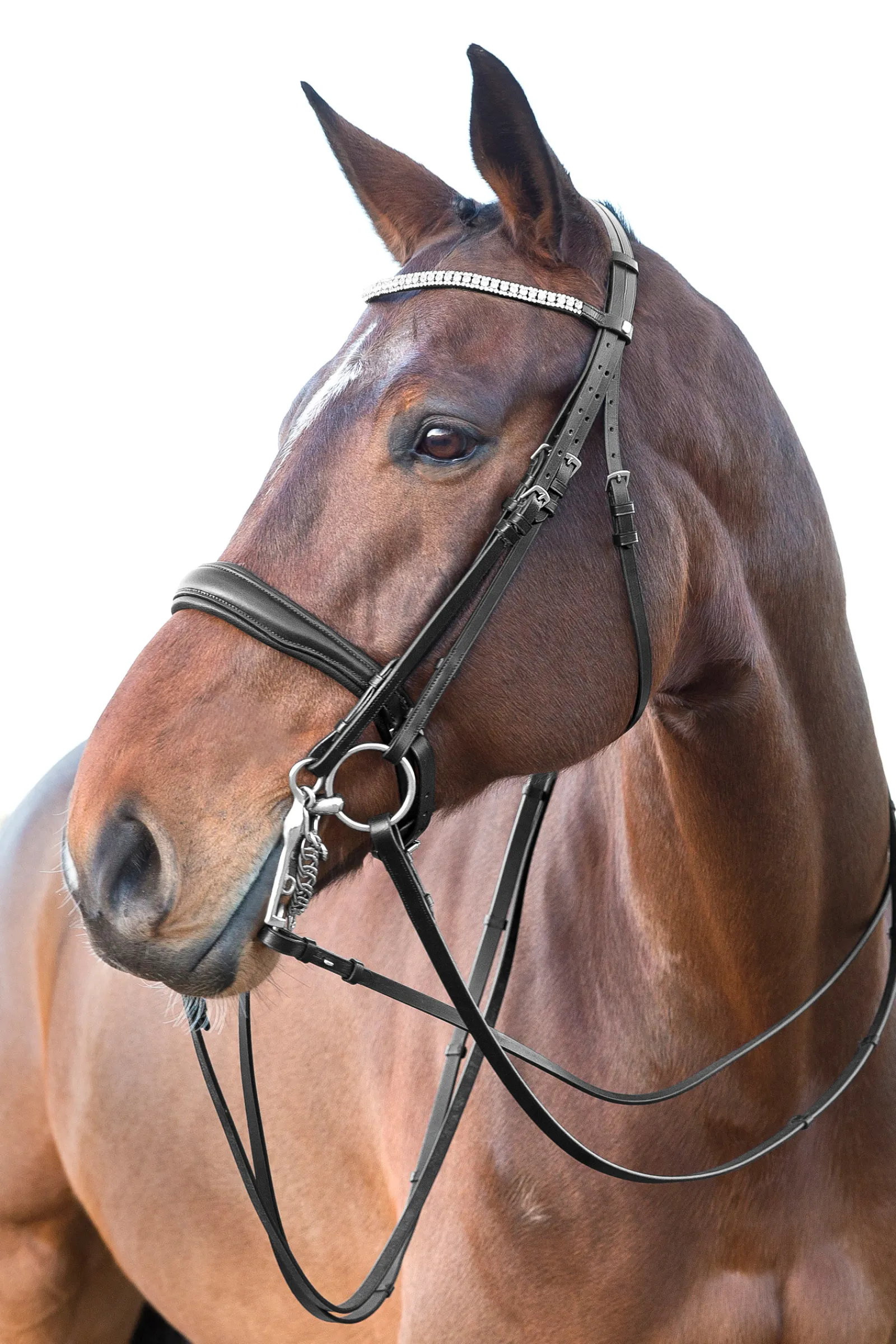 * Laelia Kankisuitset Musta