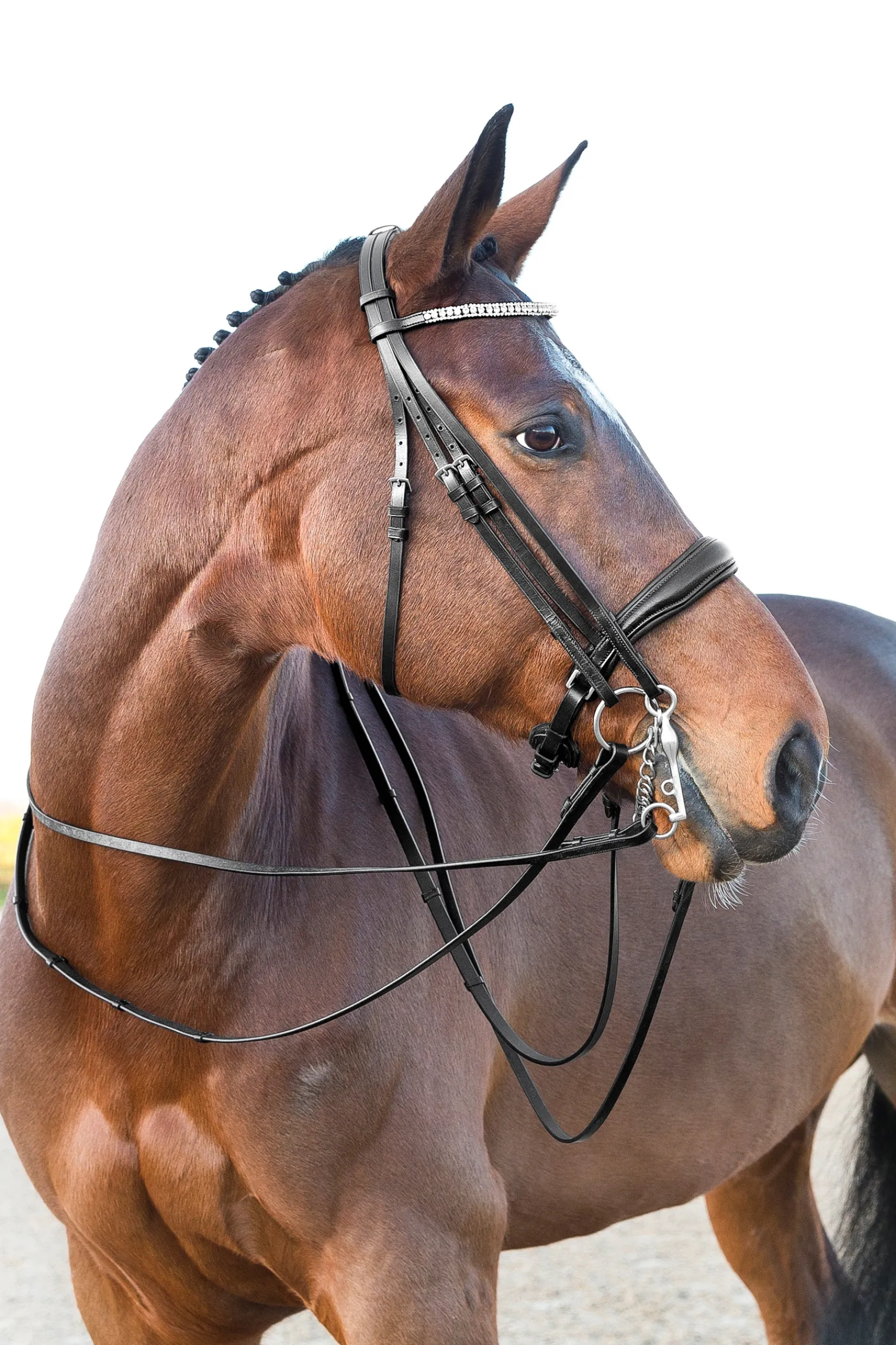 * Laelia Kankisuitset Musta