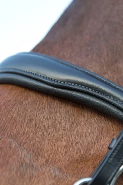 * Laelia Kankisuitset Musta