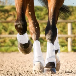 Online * Laval Suojat Valkoinen