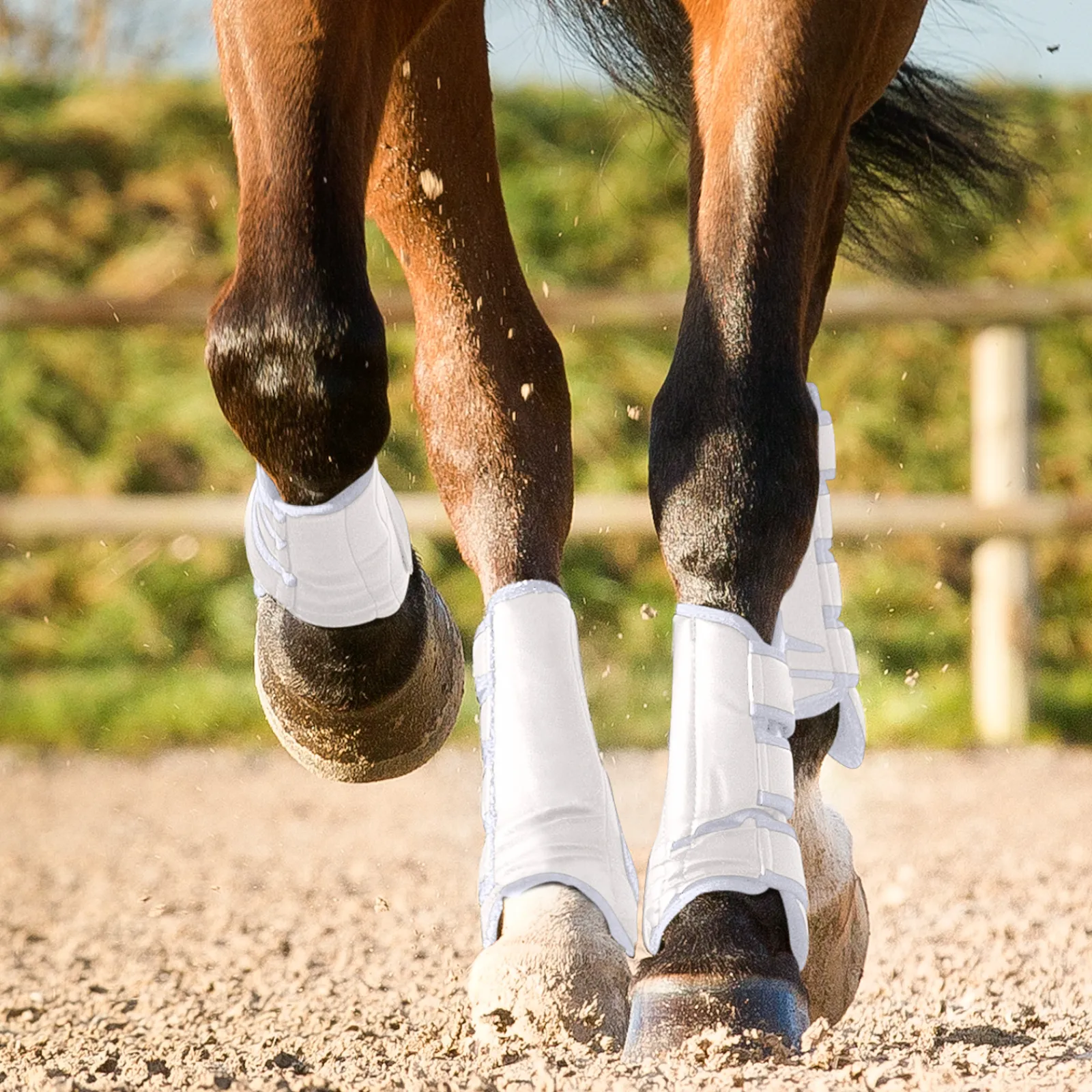 Online * Laval Suojat Valkoinen