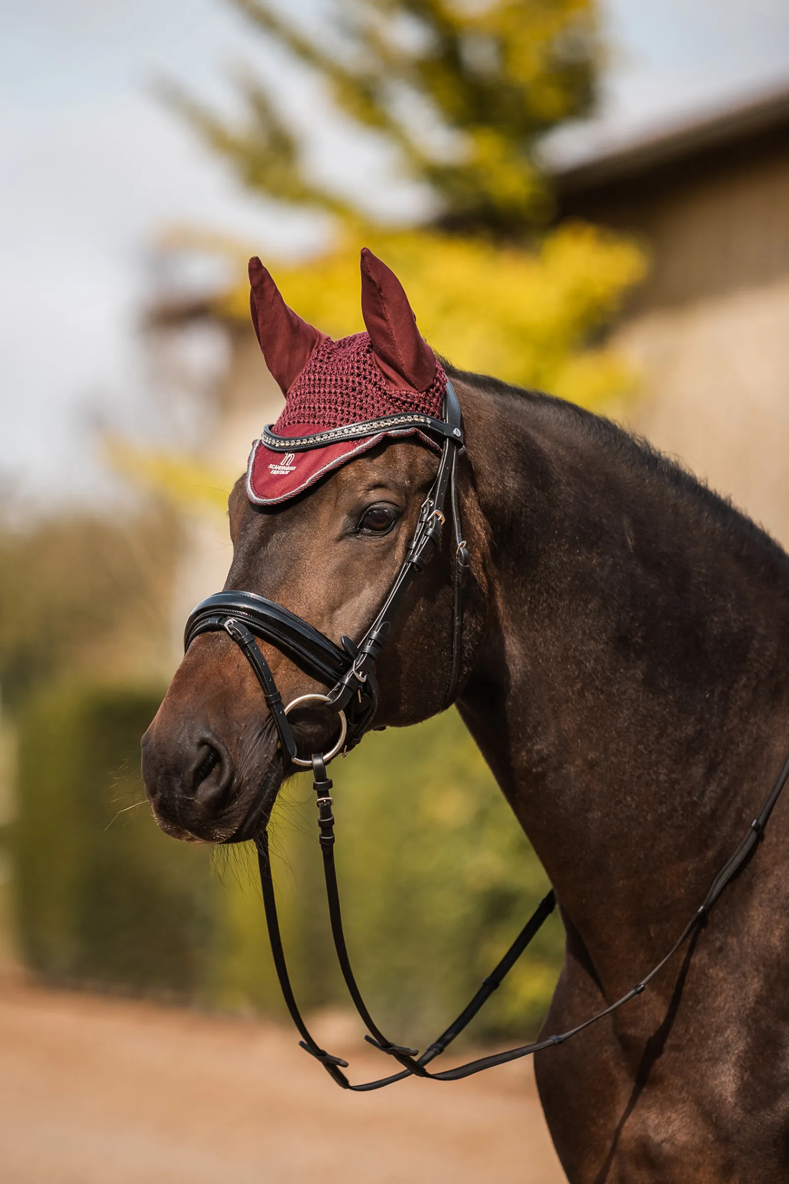 Online * Leighton Teens Collection Korvahuppu Rum Raisin Brown