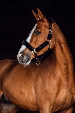 Best * Lincoln Riimu Tekoturkiksella Musta/Musta