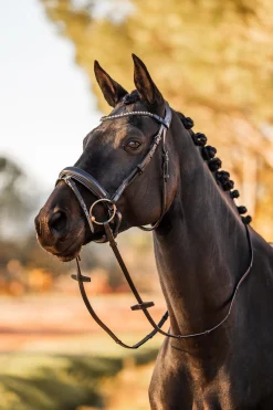 Clearance * Lockhart Anatomiset Suitset Black