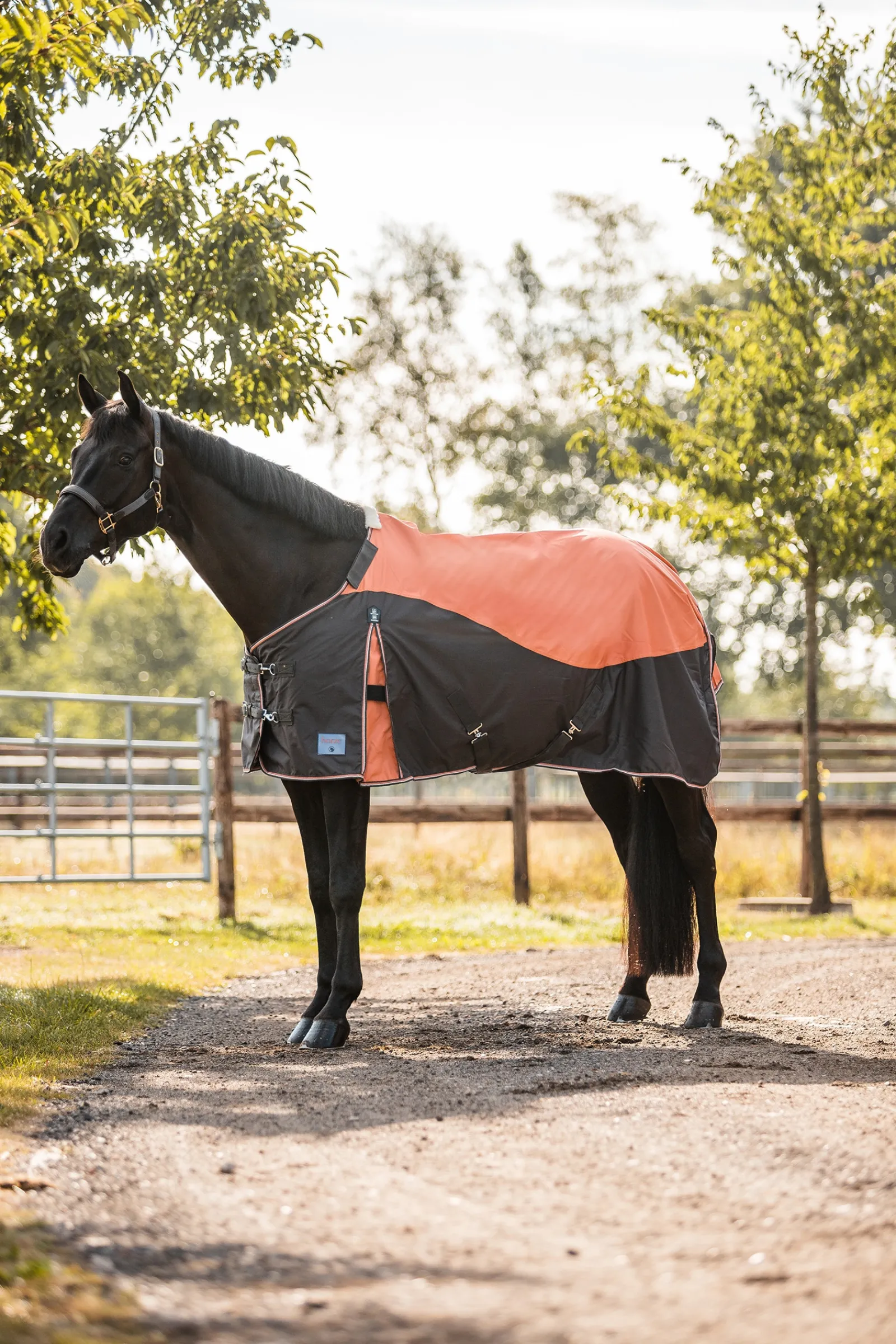 Sale * Lucerne Ulkoloimi, 250 G Rust Orange