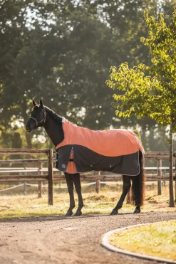 Hot * Lucerne Ulkoloimi Korkealla Kaulaosalla, 250 G Rust Orange