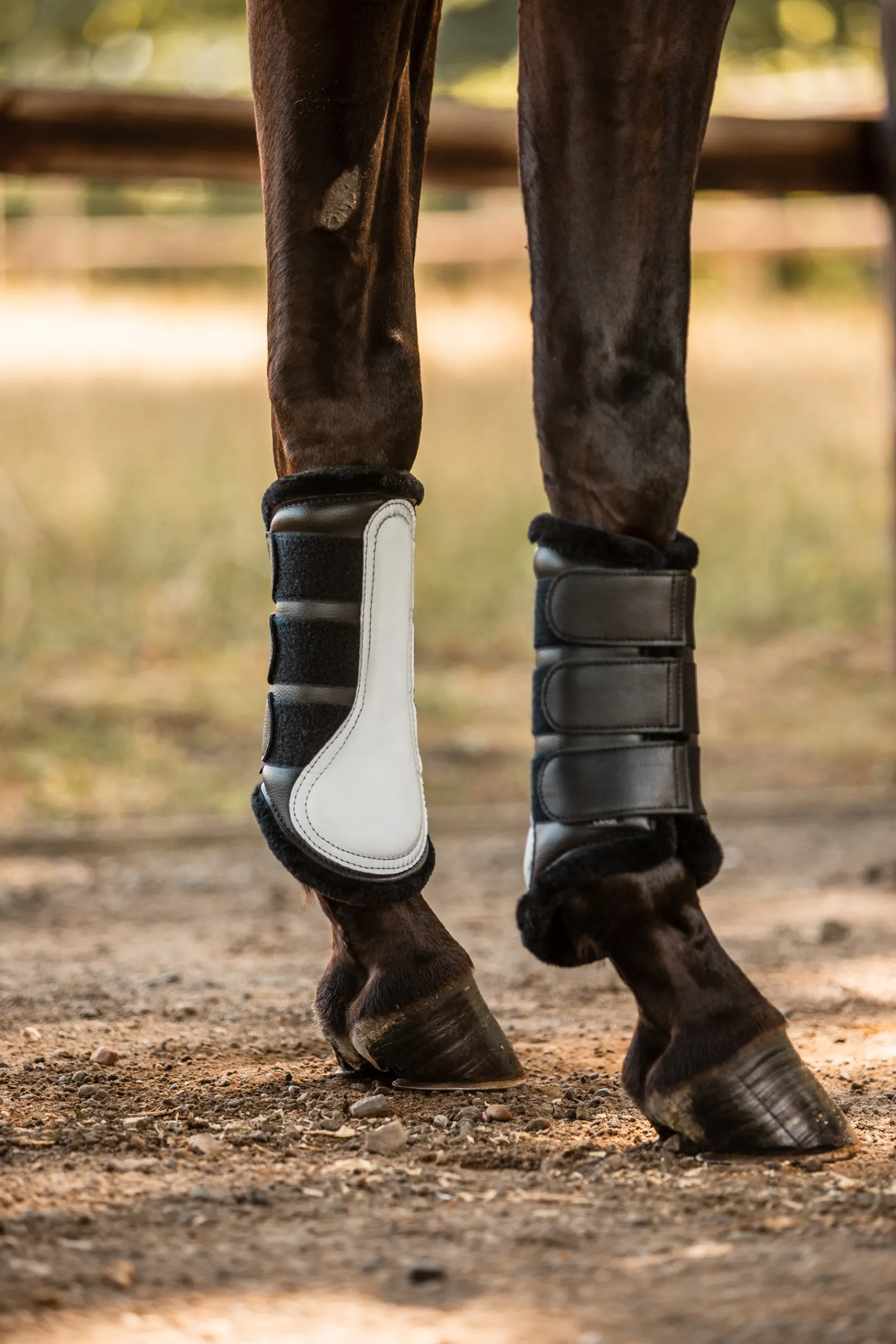 Best * Luminox Reflective Hivutussuojat Etujalkoihin Musta