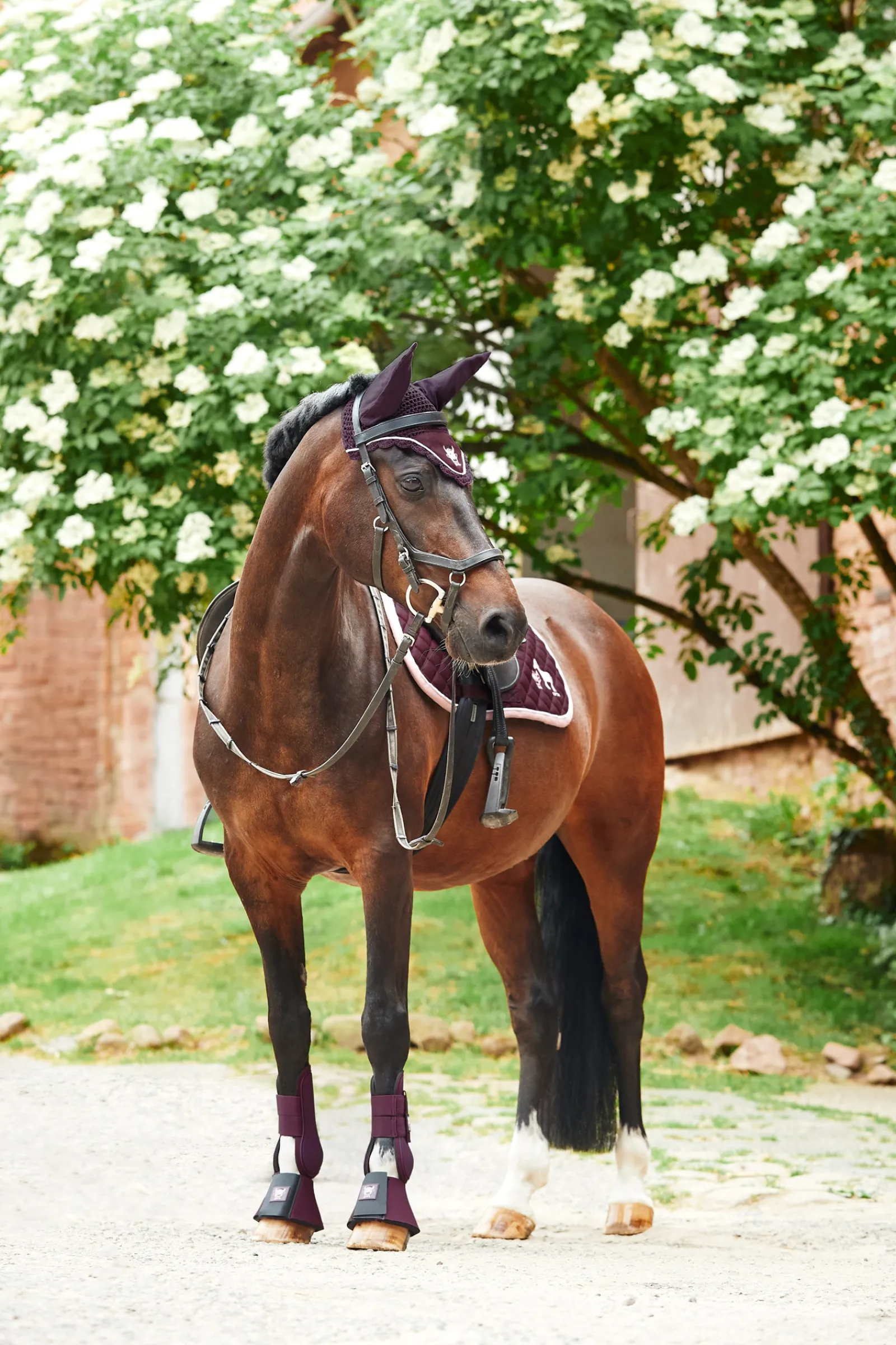 Discount * Monster Pony Satulahuopa Brodeerauksella Fig