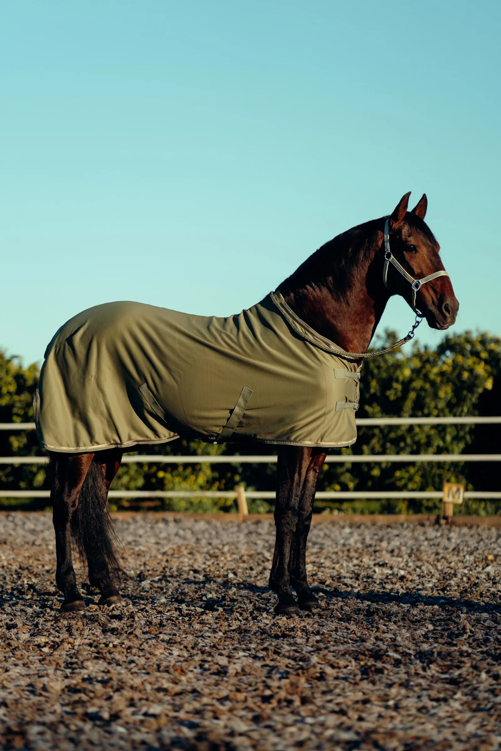 * Munich Riimu Ja Riimunnaru Olivine Green