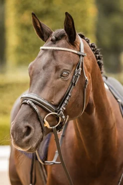 Sale * Nancy Crystal And Wire Otsapanta Black/Rose Gold