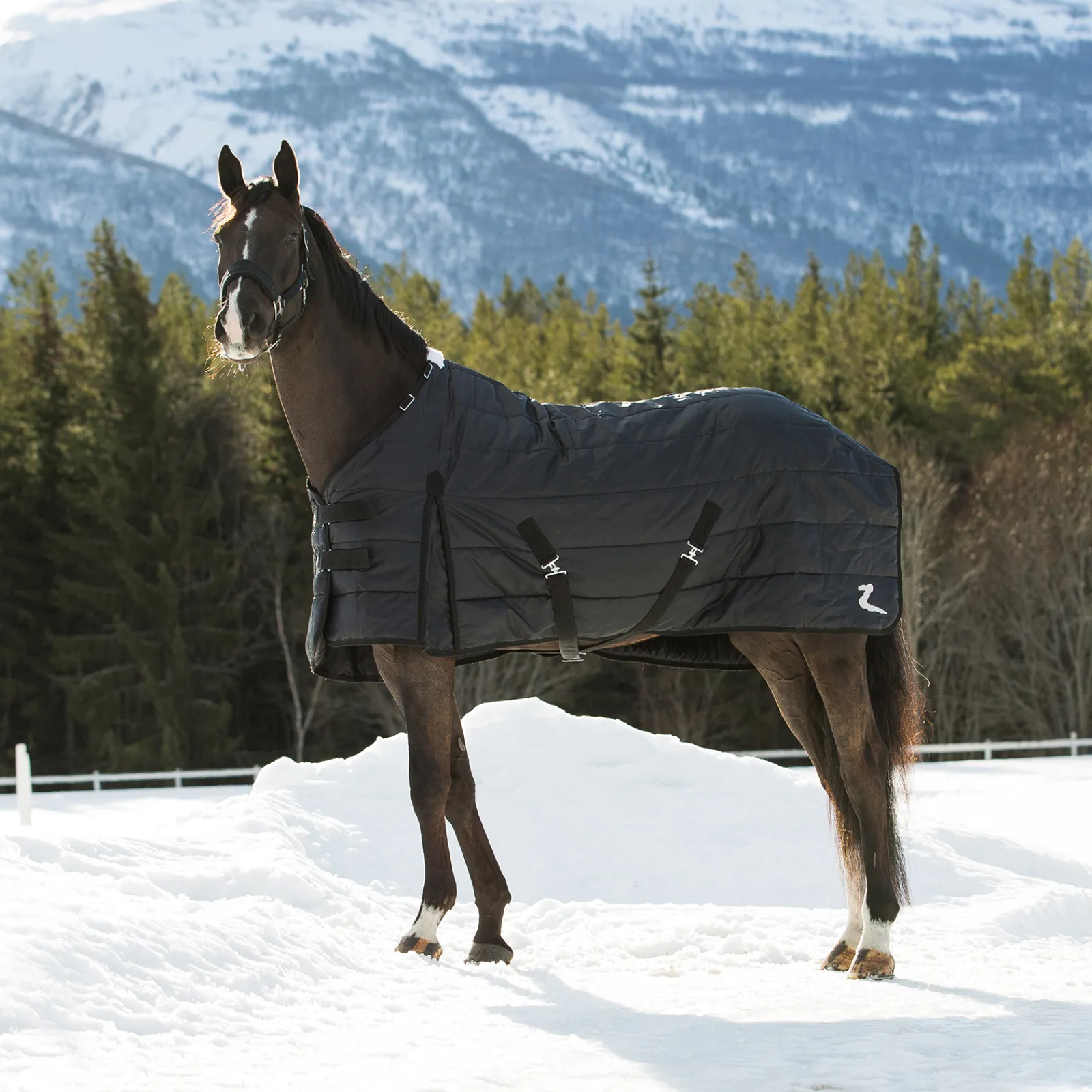 Best * Nevada -Talliloimi, 400 G Musta