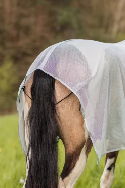 Hot * Orleans Karpasloimi High Rise Grey