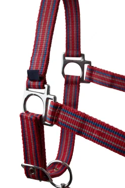 Online * Oscilating Riimu Tomato Puree