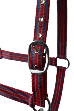 Online * Oscilating Riimu Tomato Puree