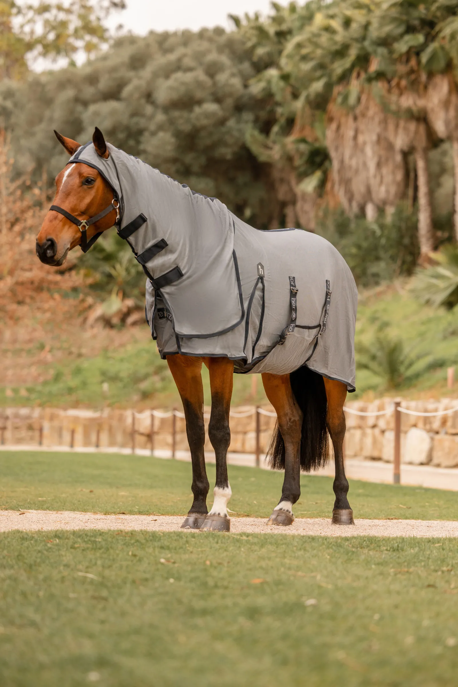 New * Paso Fino Hyonteisloimi Kaulakappaleella Ja Uv-Suojalla Titanium Grey