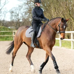 Clearance * Prosoft Suojat Etujalkoihin Musta