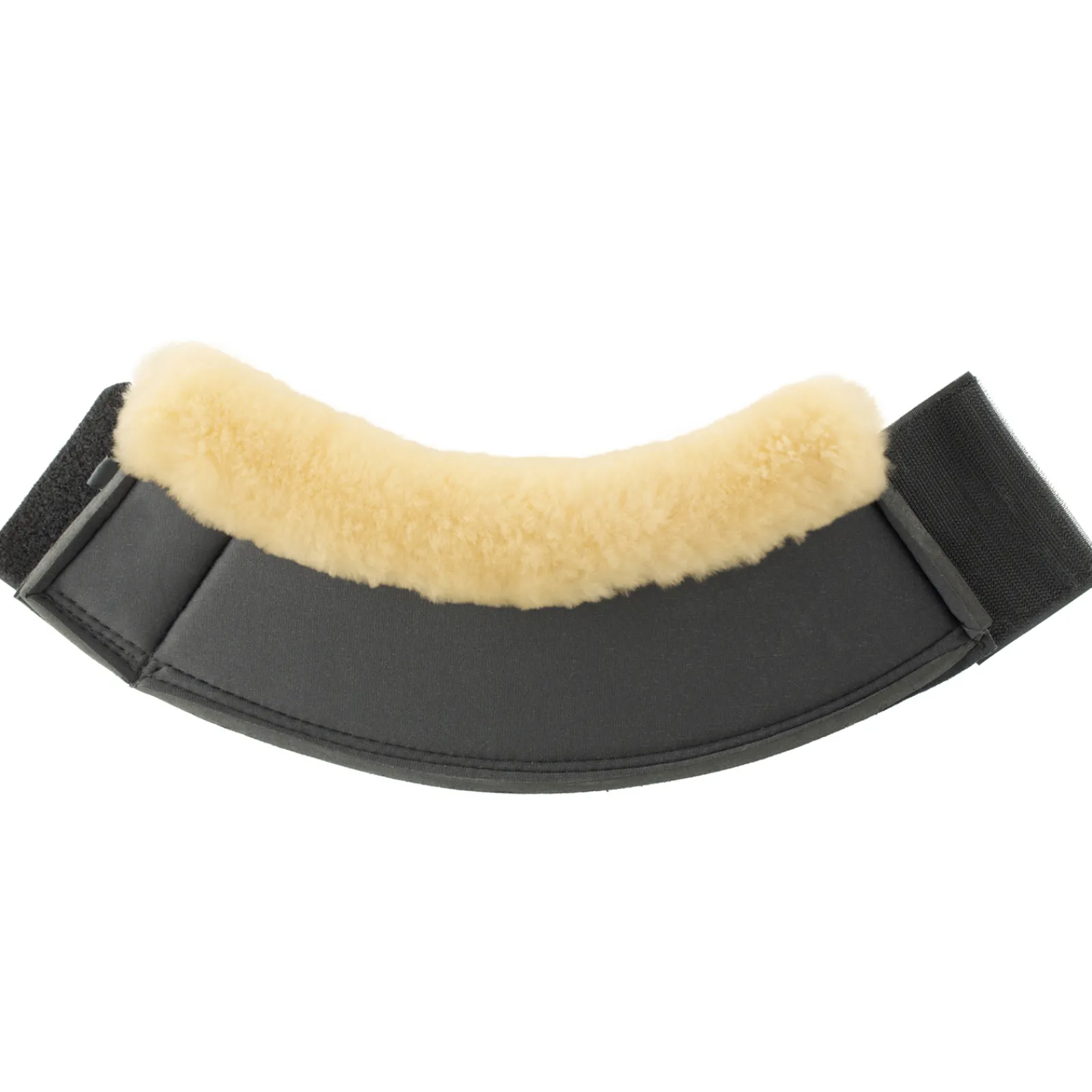 * Salerno Putsit Musta