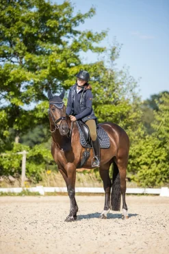 Hot * Sandnes Koulusatulahuopa Dark Navy