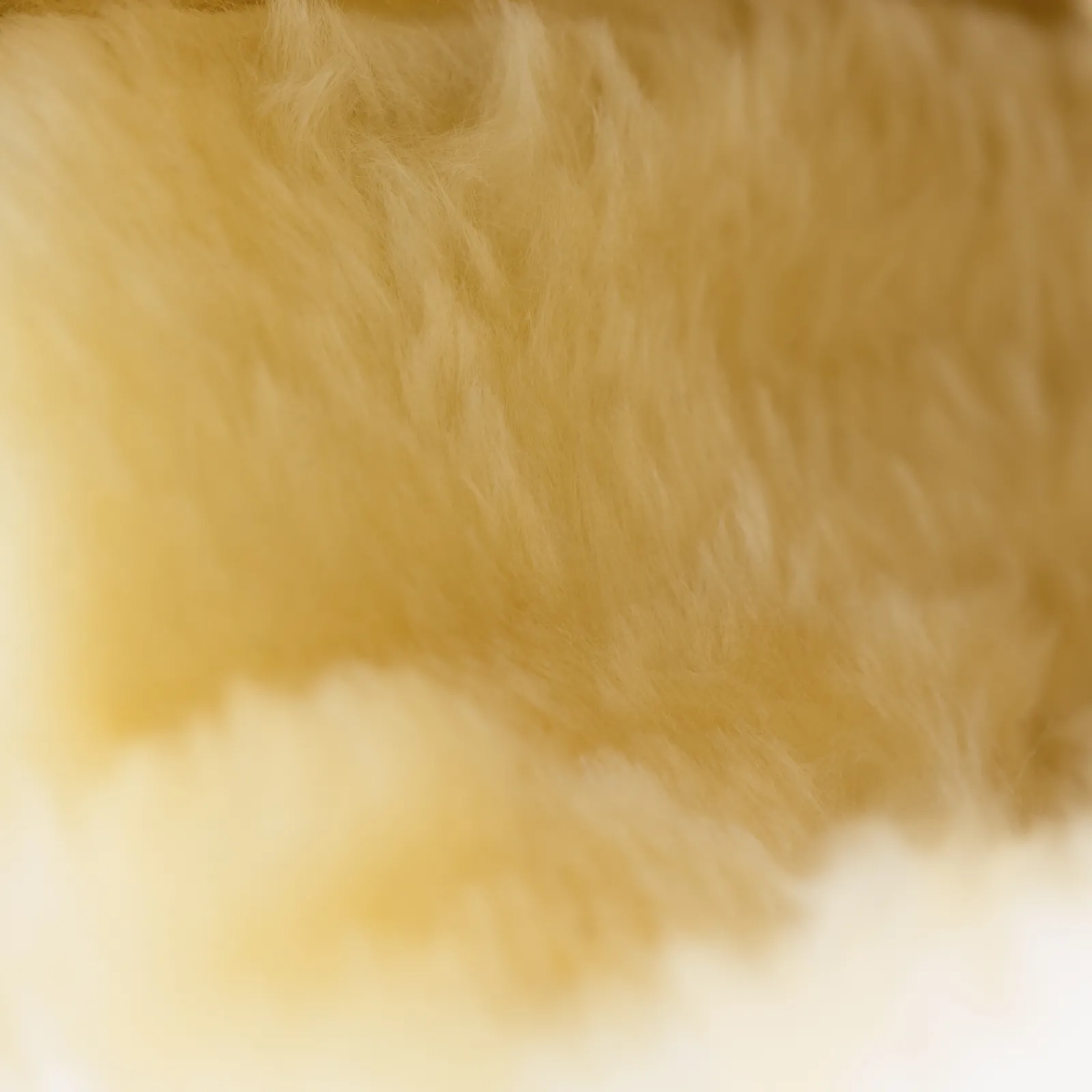 Hot * Signature Hivutussuojat Musta