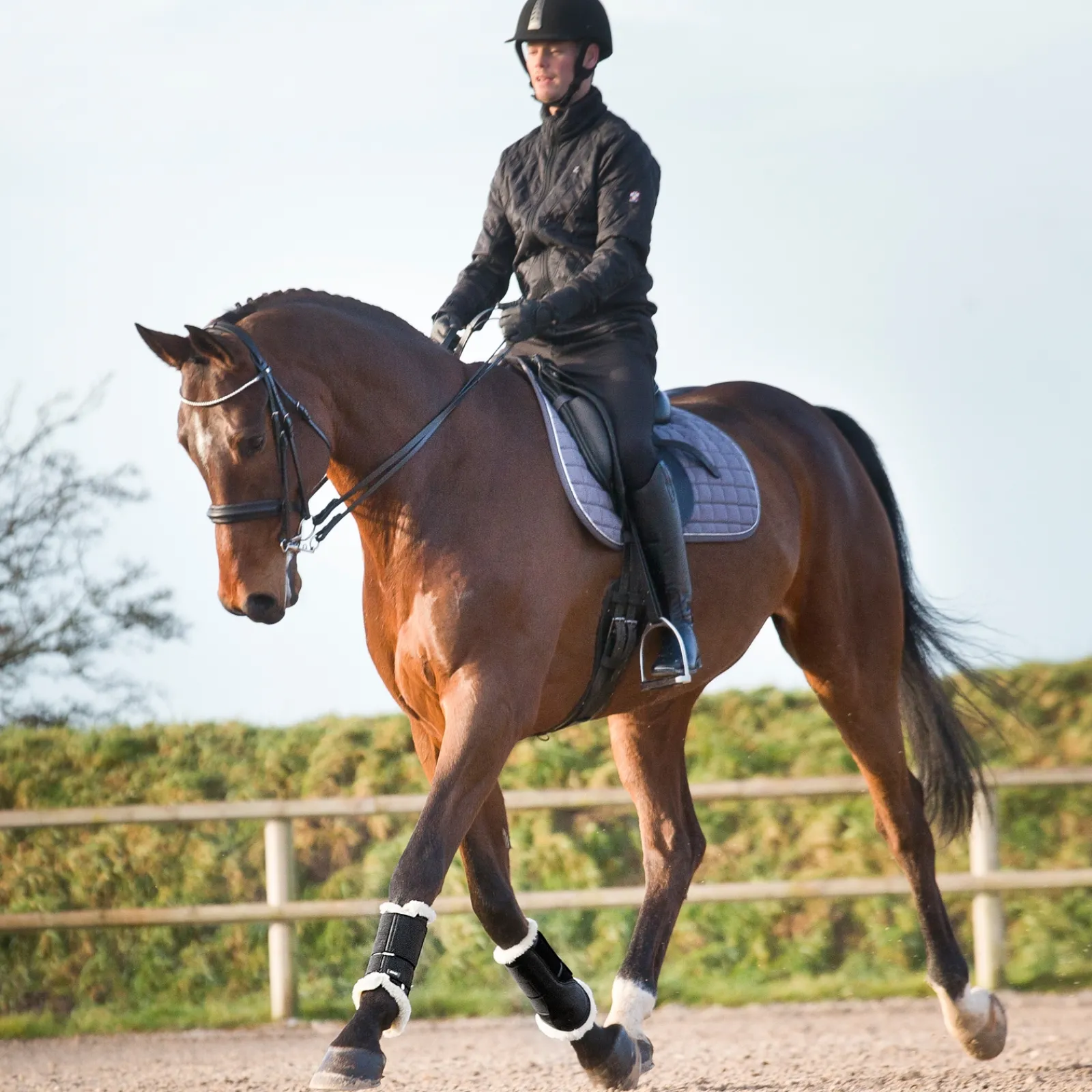 Hot * Signature Hivutussuojat Musta