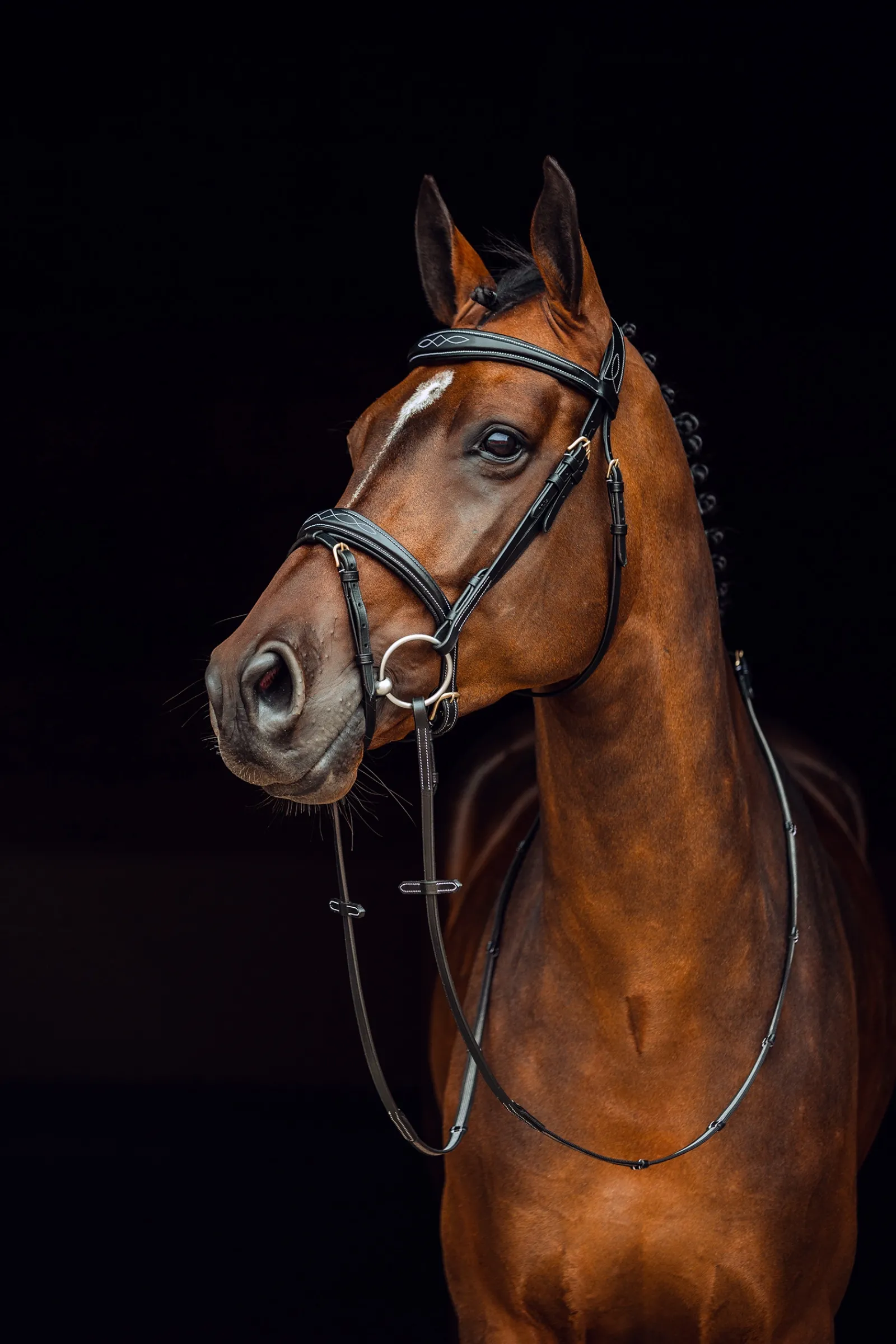 Outlet * Sion Suitset, Mukana Ohjat Musta