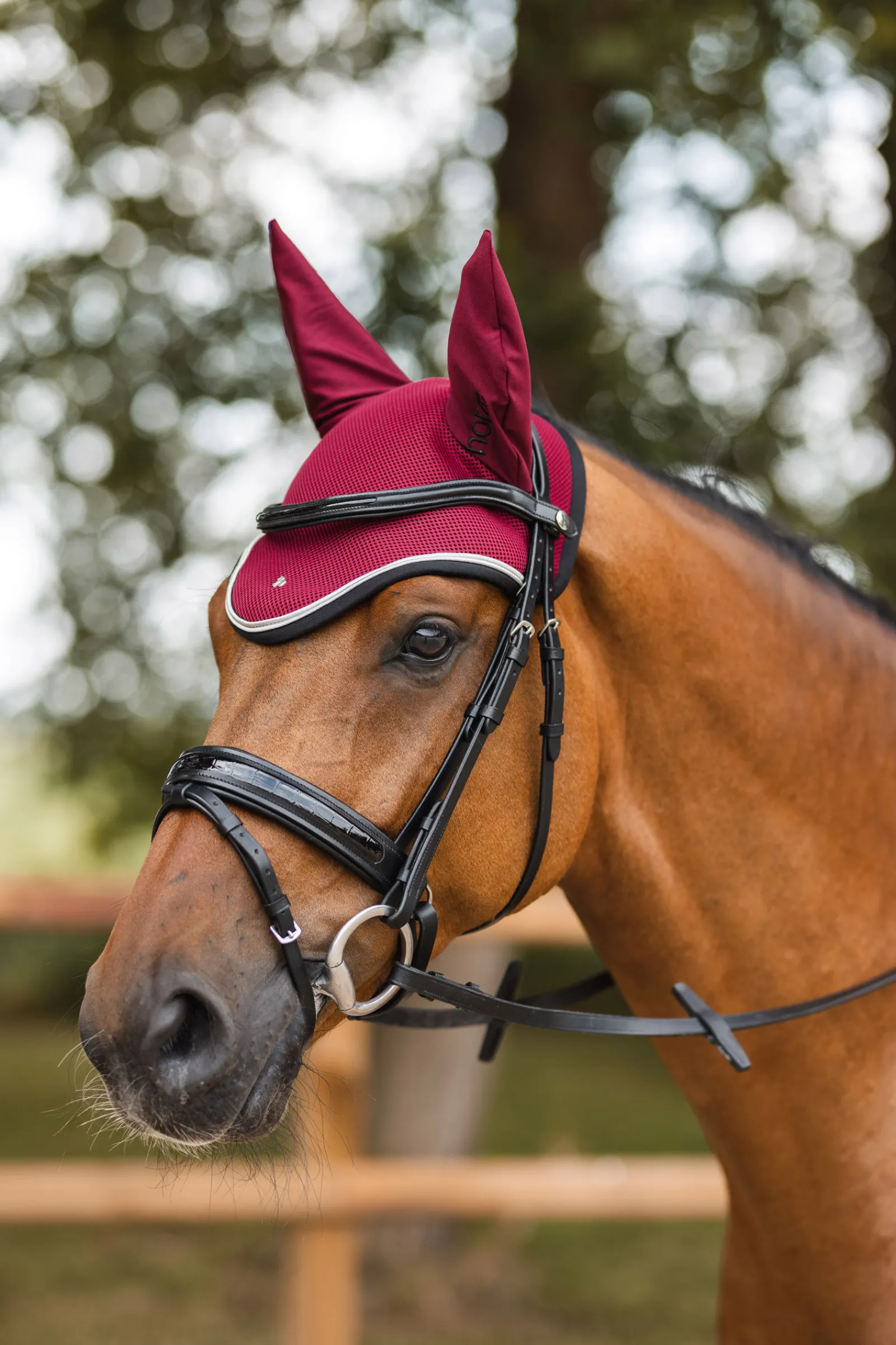 * Smoky Twilight Anatomiset Suitset Black