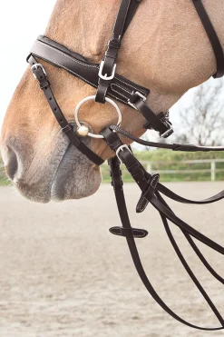 Online * Sparta Nailon/Nahkagramaanit Tummanruskea