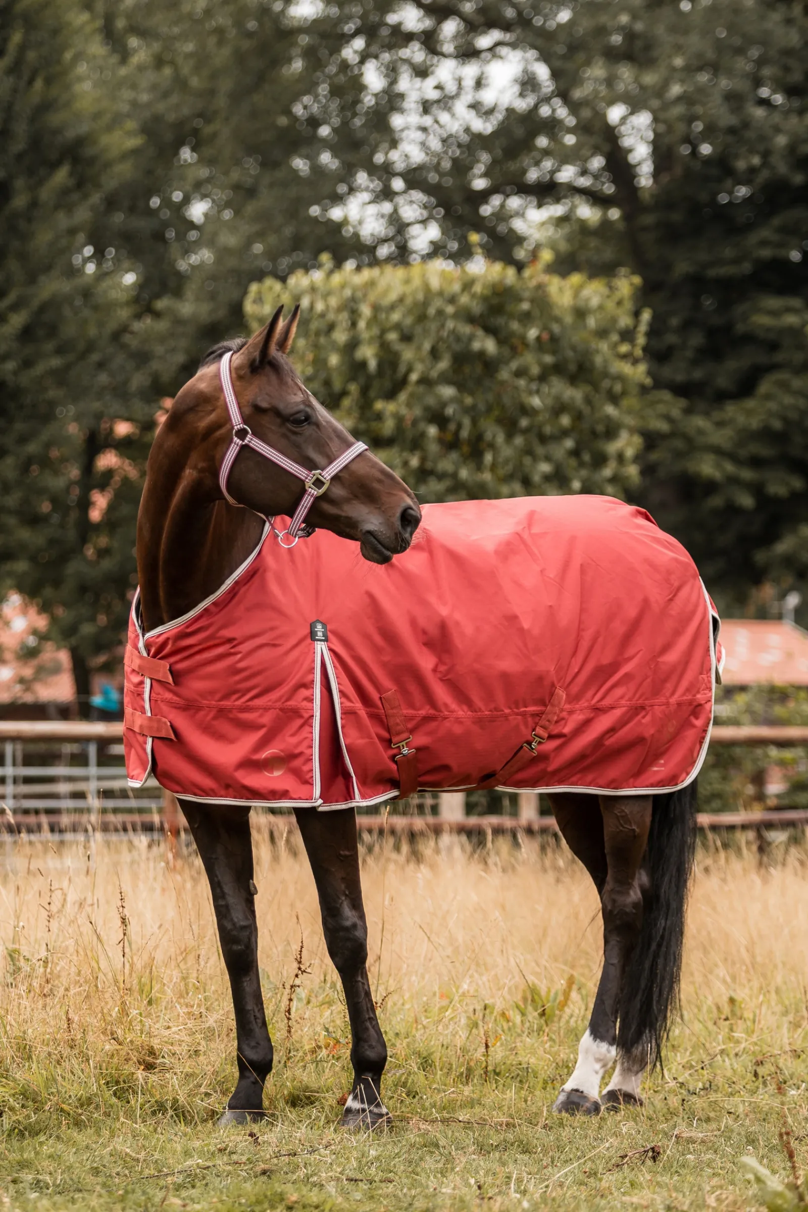 Online * Sudbury 2-In-1 Ulkoloimi, 50 G, 100 G Marsala Red