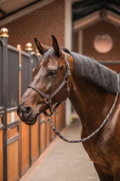 Online * Sudbury Riimu Black/ Rum Raisin Brown