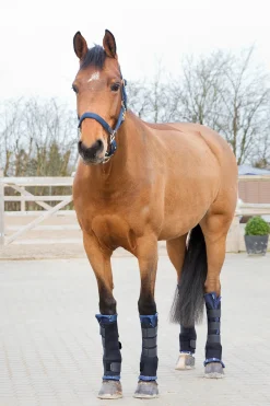 Discount * Tallisuojat Pro, Etu Musta