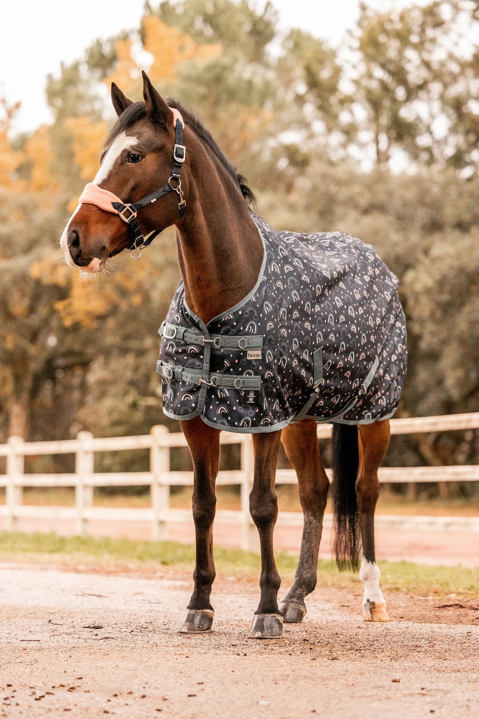 Best * Trixi Pony Ulkoloimi Dark Navy