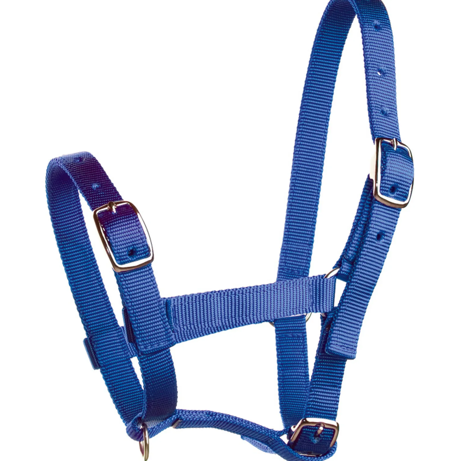 Online * Varsariimu Sininen