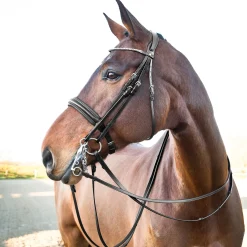 Outlet * Vienna Anatomiset Kankisuitset Musta