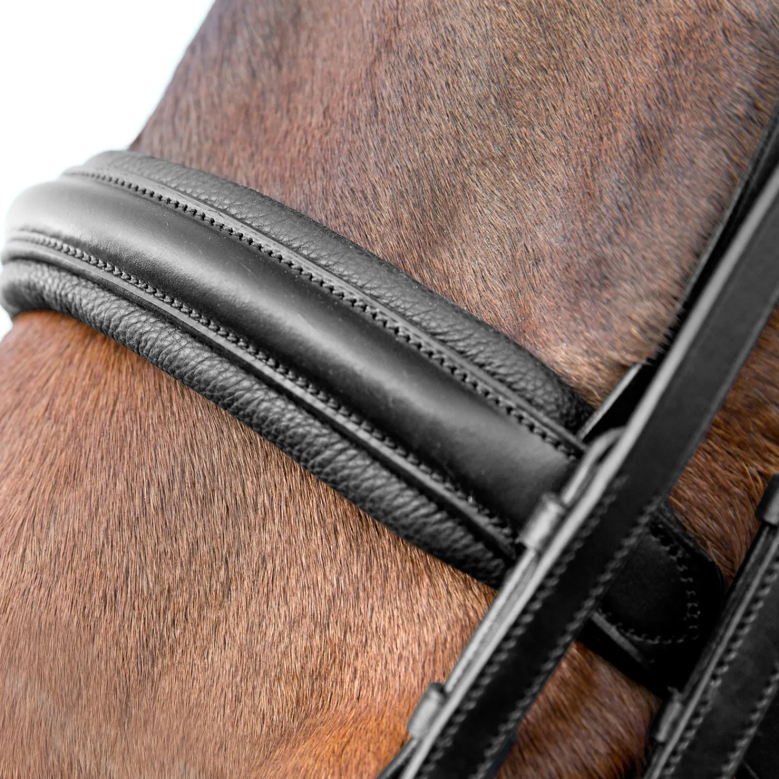 Outlet * Vienna Anatomiset Kankisuitset Musta